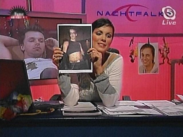 nachtfalke031101_02.jpg