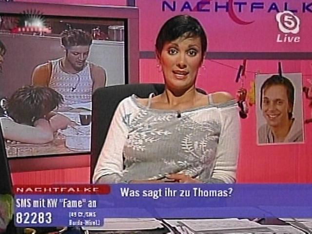 nachtfalke031101_12.jpg