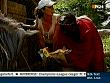 kl_a_u_r040807_22.jpg